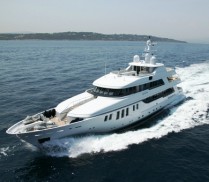 LITTLE VIOLET - Main