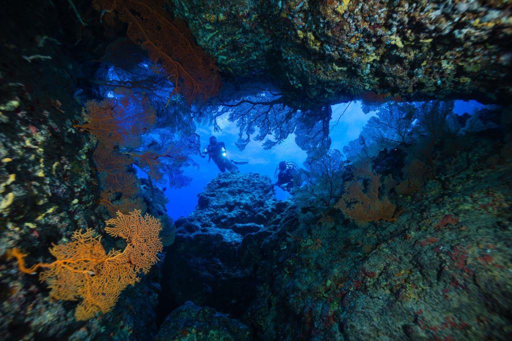 Nyaman - Cave Diving