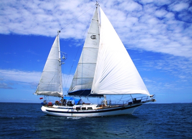 charter sailboat in tonga