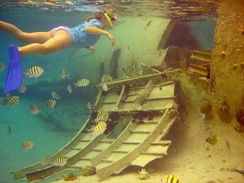 SOLSTICE - Snorkeling the plane wreck at Normans Cay