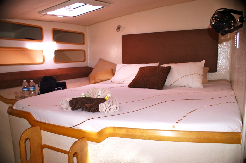 Sailing Catamaran - 42 - Guest Cabin