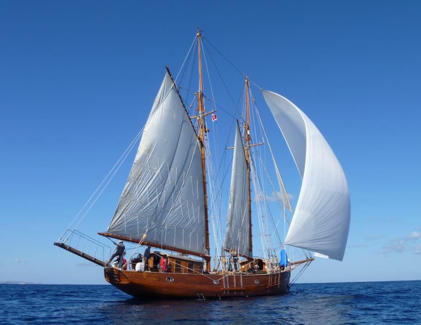 Stereden Ann Esperanz -    Sailing