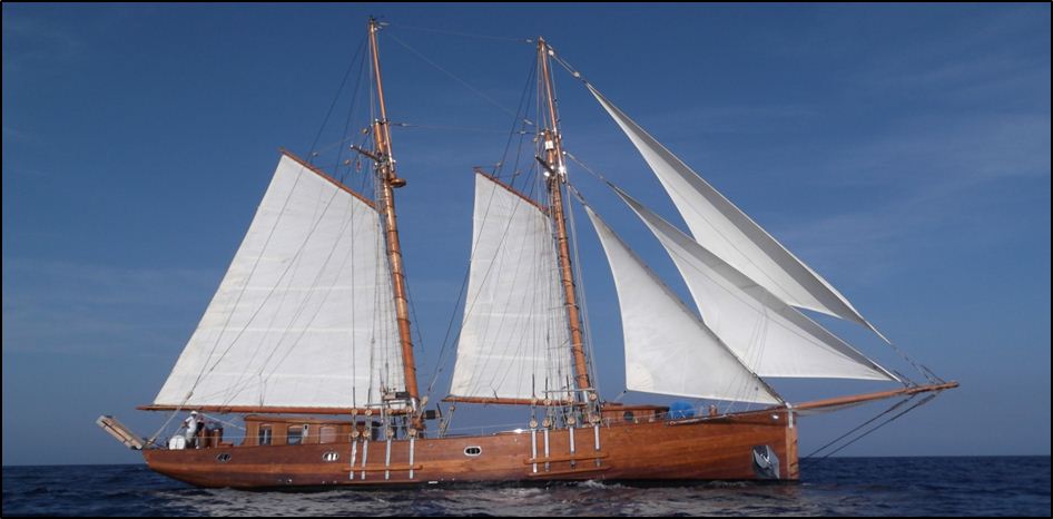 Stereden Ann Esperanz - Profile with Sails