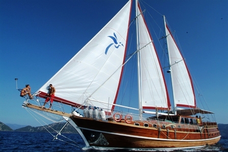 Yacht NIKOLAS -  Main