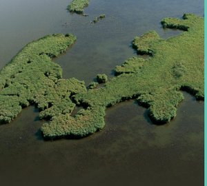 Broads Authority UK - Green ways of Protecting your Yacht