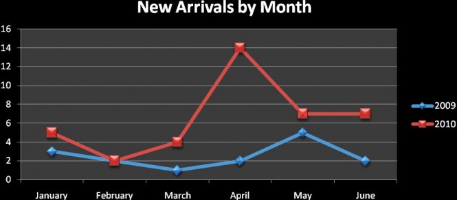Graph Showing New Arivals by month - Credit Superyacht Singapore Association (SSA)