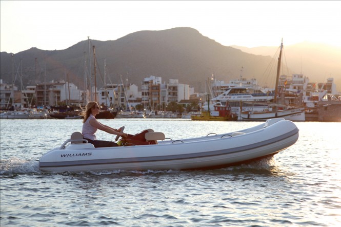 Williams Performance Tenders - Williams Turbo Jet 445