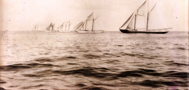 Five schooners start of the first Round Barbados Race January 1st 1936.  Image courtesy of Will Johnson.