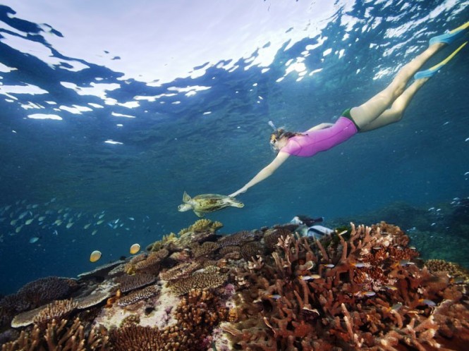 Lady Elliot Island turtle & snorkeller Lady Elliot Island turtle & snorkeller