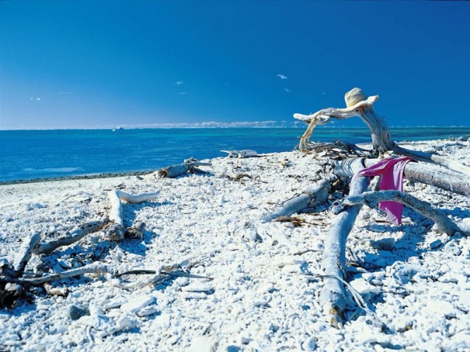 Lady Musgrave Island Lady Musgrave Island