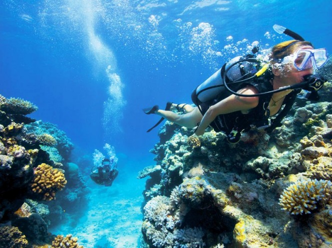 Lizard Island scuba diving Lizard Island scuba diving