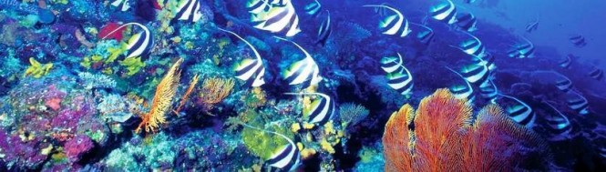 Dining in the Seychelles