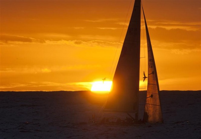 KNEE DEEP and albatross catch the sunset off Tasman Island Photo D. Forster