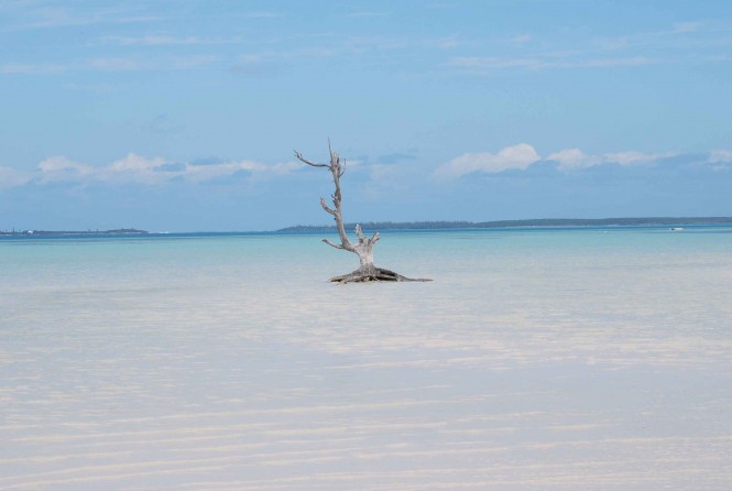 Bahamas Beach