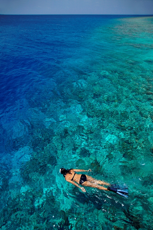 Dusit Thani Maldives area snorkeling