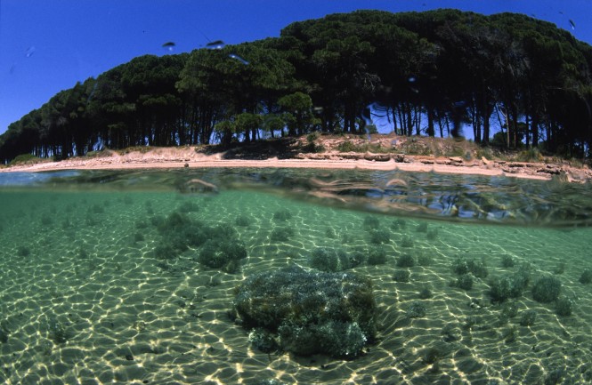 Sardinia yacht charters