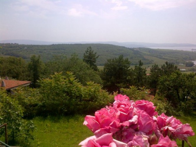 Landscape views near Porto San Rocco