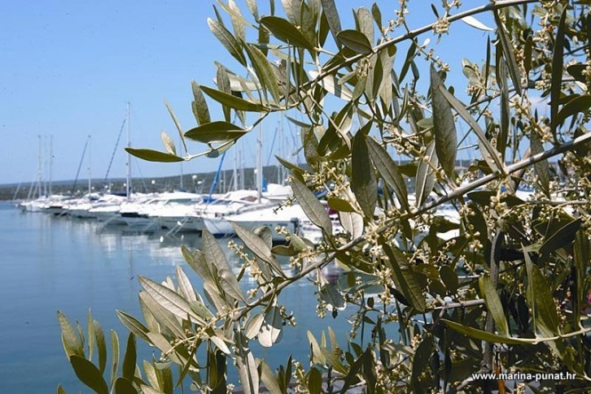 Punat Marina - the oldest superyacht marina in Croatia