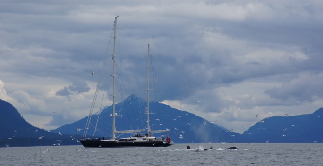 53m luxury charter yacht Drumbeat in Juneau, Alaska
