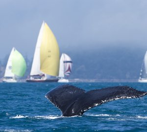Next year’s 30th anniversary of Audi Hamilton Island Race Week