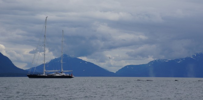 Photo of the Alloy luxury sailing yacht Drumbeat (ex Salperton) in Alaska