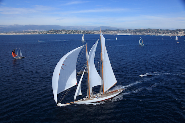 Luxury sailing yacht Elena leading the fleet