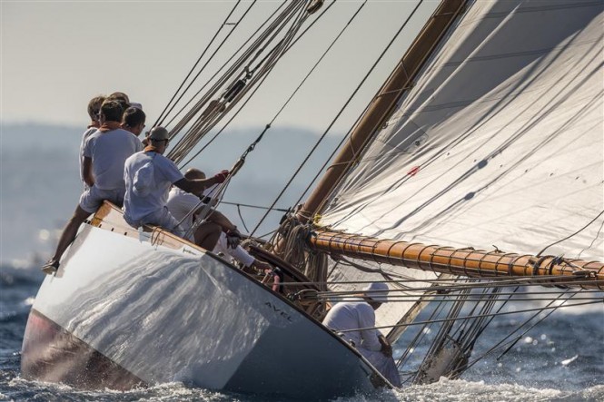 Sailing Yacht AVEL - Photo By- Rolex : Carlo Borlenghi