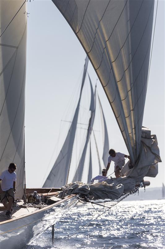 Sailing yacht Cambria - Photo By- Rolex : Carlo Borlenghi
