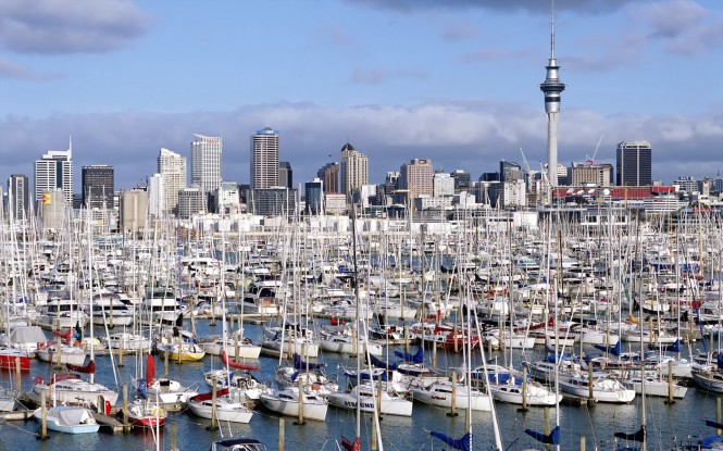 Westhaven Marina Auckland - North Island - New Zealand