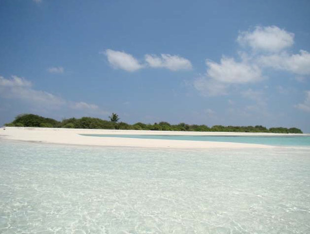 MALDIVES Rhuiveli Baby Island (Bird Island)