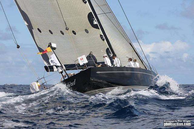 Blackbird yacht competing in RORC Caribbean 600 - Photo by T. Wright/photoaction.com