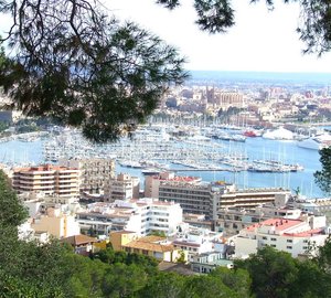 New mobile device app released by Palma International Yachting Forum