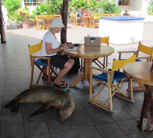 Oyster World Rally 2013: Stopover in the Galapagos