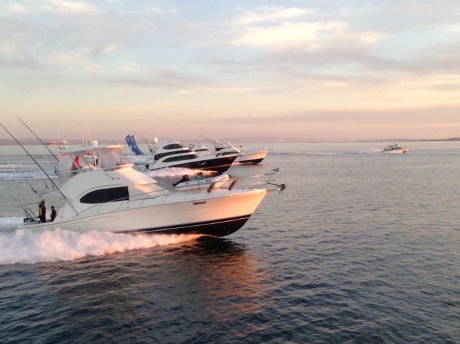 At the sound of the Tacomas horns the race to Memory Cove begins