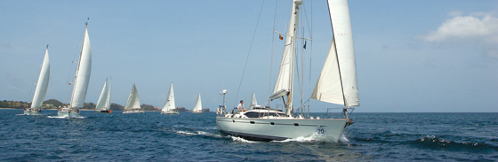 Luxury Oyster yachts to compete in the Oyster Regatta Grenada 2013