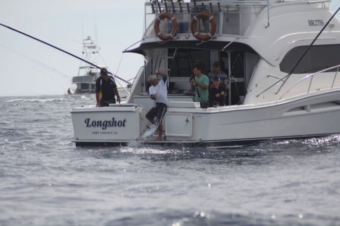There was a lot of fishing action this year with 897 tuna caught and released