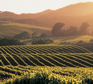 America’s Cup Superyacht Regatta Owners Dinner to be hosted by Napa Valley