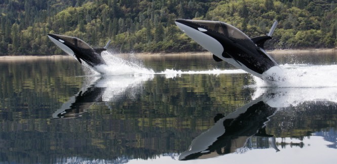 Seabreachers jumping Seabreachers jumping