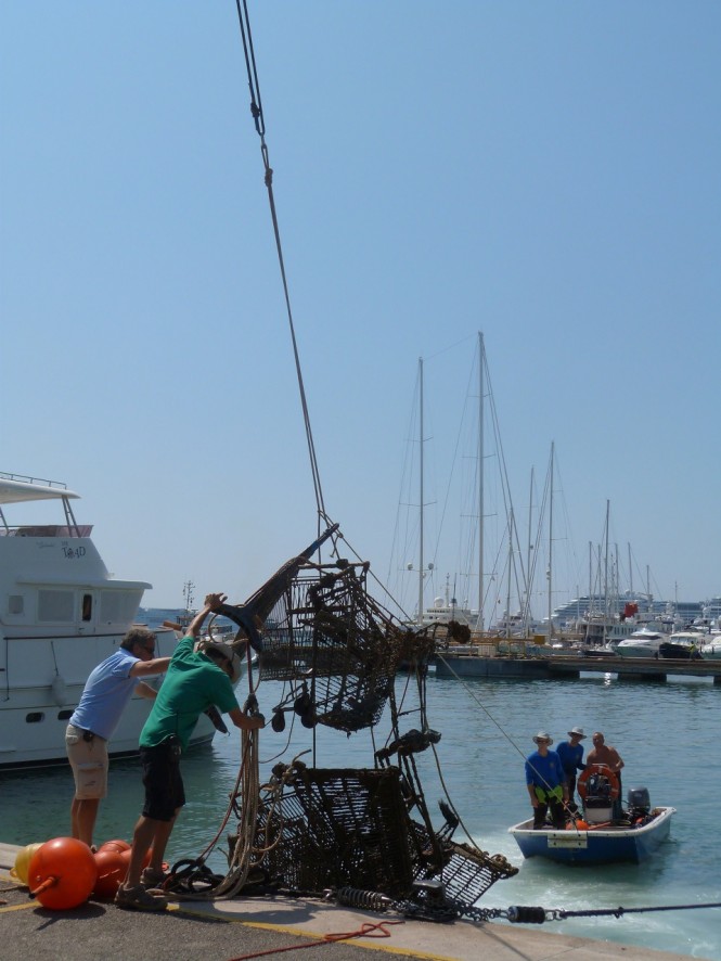 Environmental Day at Marina Port de Mallorca