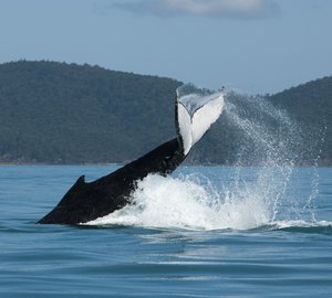 Audi Hamilton Island Race Week 2013 kicks off