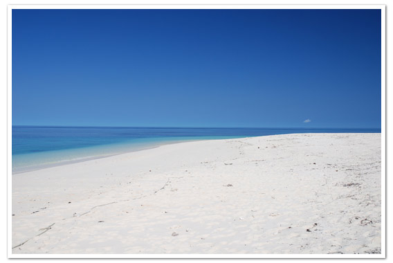 Denis Island © Gerard Larose:STB