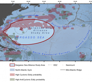 Sargasso Sea Alliance, Stewards of the High Seas