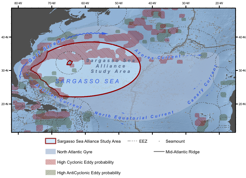 Sargasso Sea Study Map.
