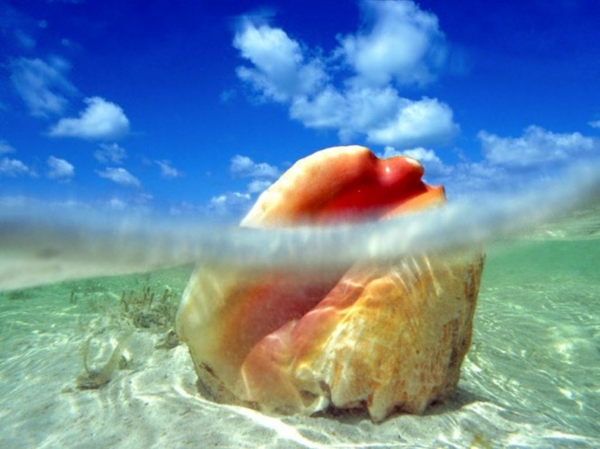Bahamas - Image credit Bahams Ministry of Tourism