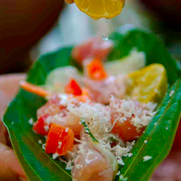 Tahiti - Image credit to Rodolphe Holler