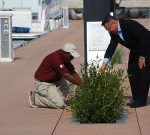 Another milestone for Mourjan Marinas' ‘Floating Mangroves’ project