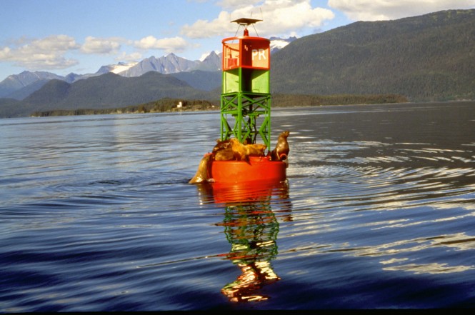 Stellar sea lions congregate on a channel marker - Alaska - Juneau - Image courtesy of Juneau CVB