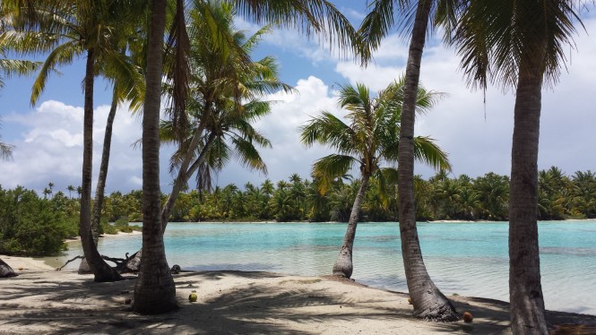 Toau anse amiot ‘Beach & Coconut Trees’