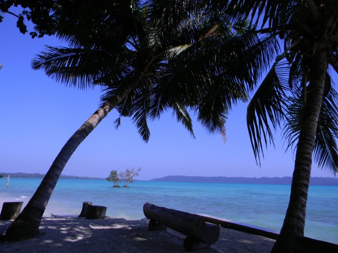 Andamans Havelock Island