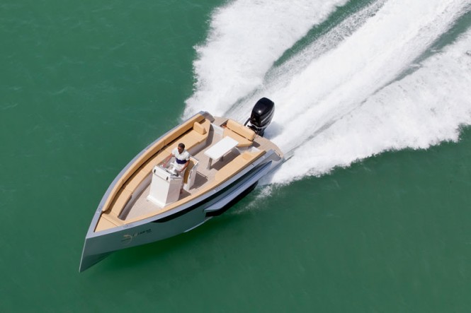 Iguana 29 yacht tender from above